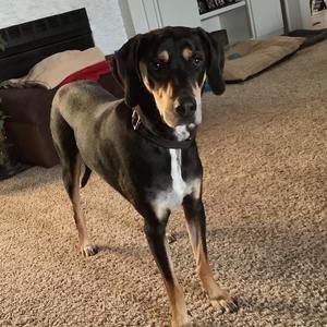 Meet your Posher, Deborah